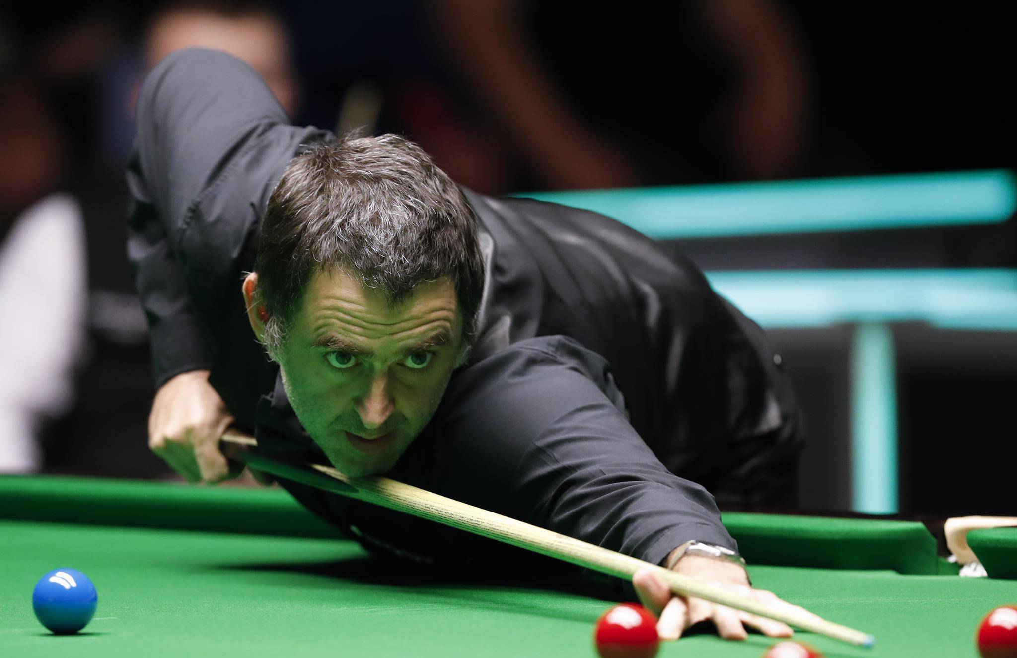 金州勇士依 金州勇士依