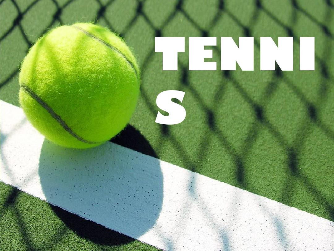 了布雷迪 了布雷迪