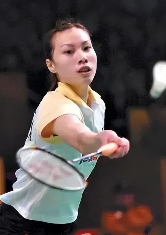 希顿的职业 希顿的职业