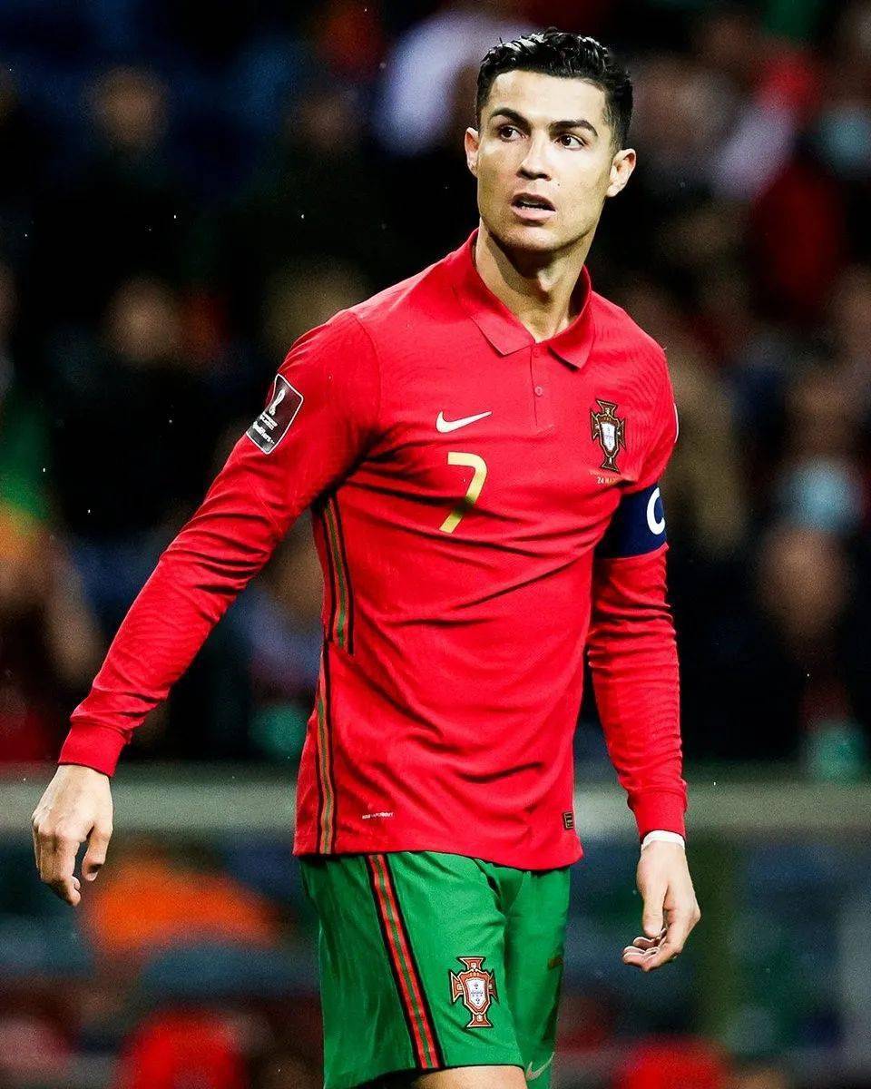 的几轮奠定 的几轮奠定